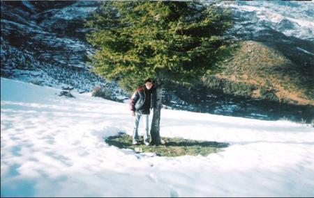 re ( oussama)